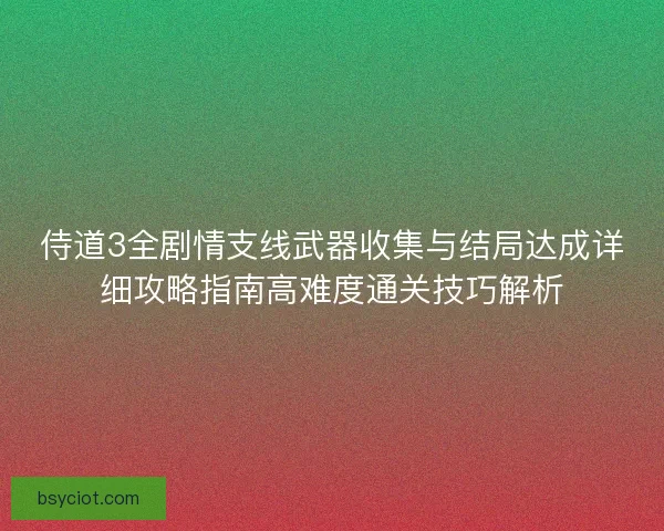 侍道3全剧情支线武器收集与结局达成详细攻略指南高难度通关技巧解析